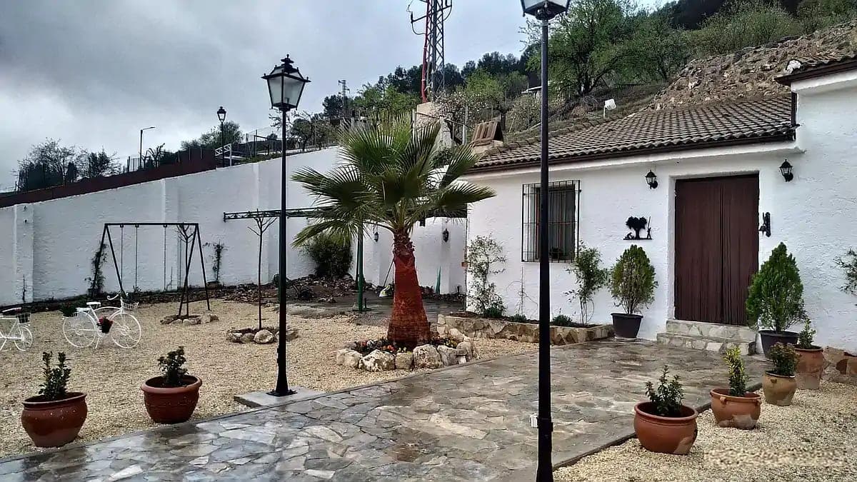 Casa Cueva El Olivo