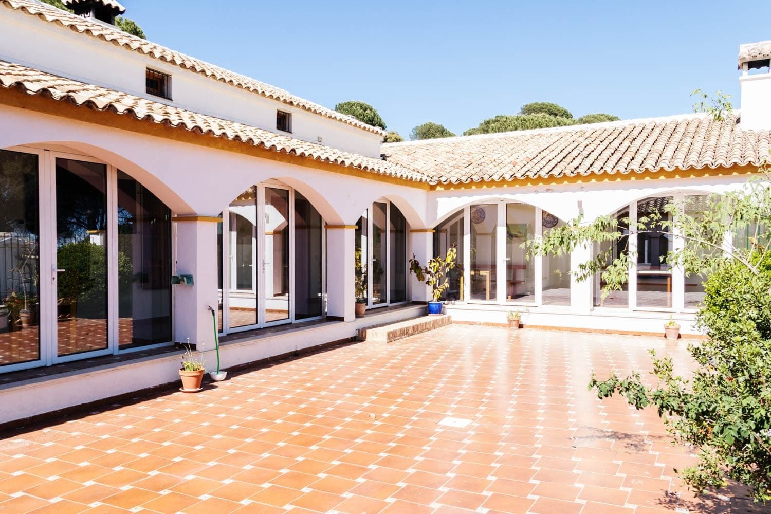 Cortijo Gato Clavo