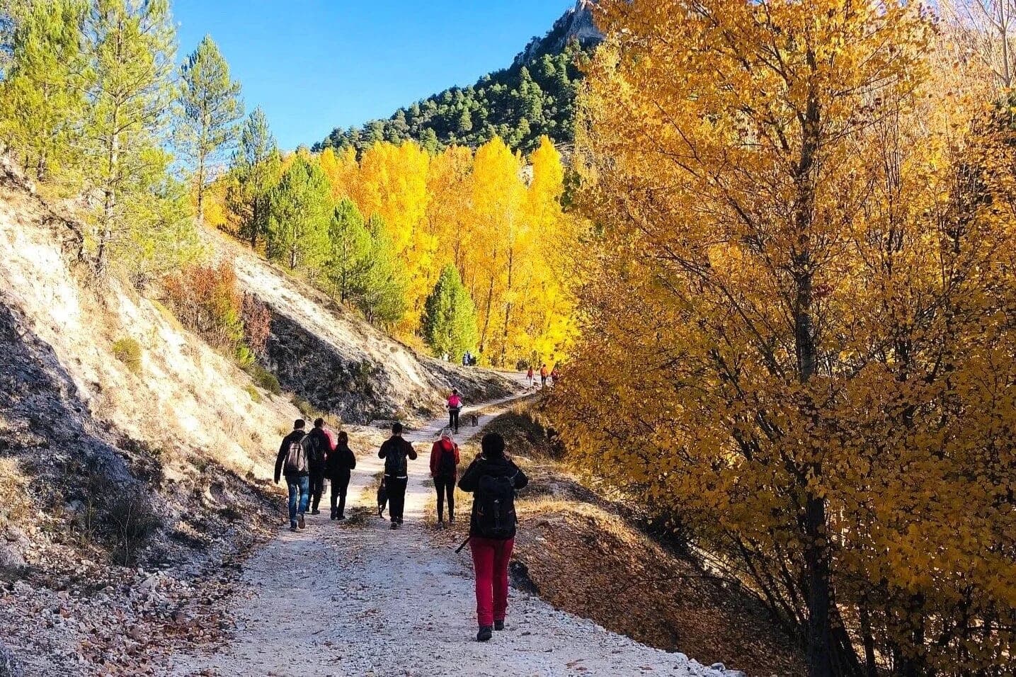 Hospedería de Montaña Morciguillinas
