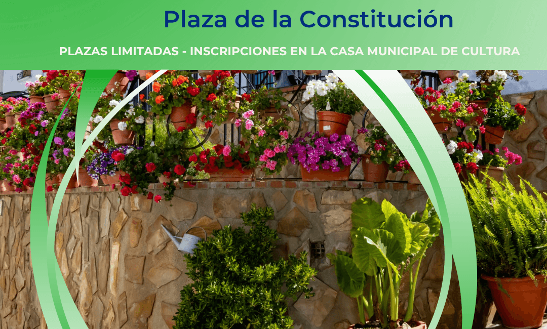 Visita guiada a fachadas del 26 Certamen de Embellecimiento