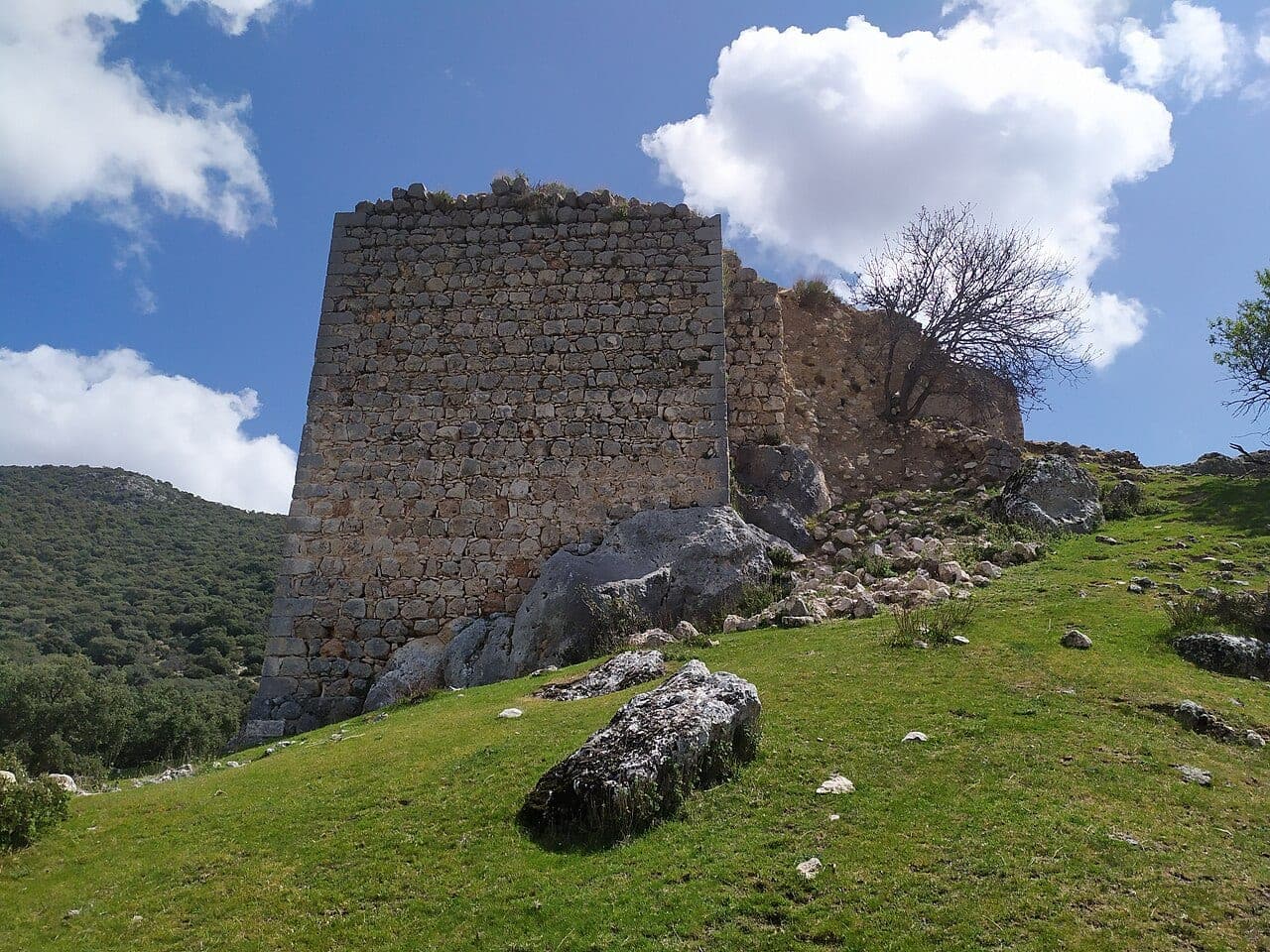 Taller de astronomía y observación de estrellas en Mata-Bejid (Sierra Mágina)