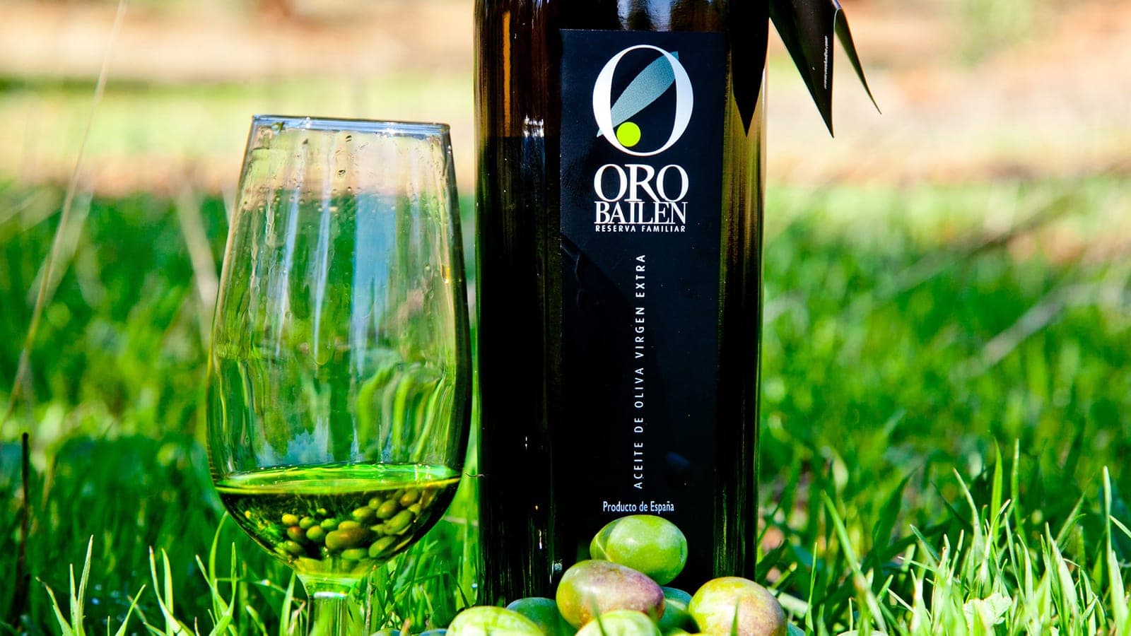 Visita a la almazara Oro Bailén con cata de aceite en Villanueva de la Reina