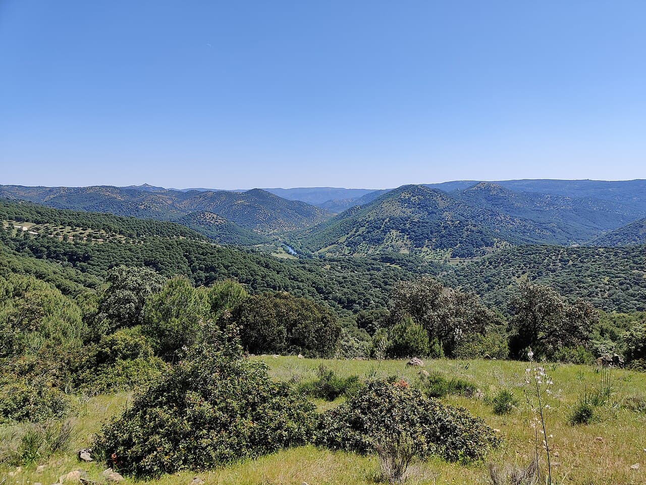 Parque Natural Sierra de Andújar