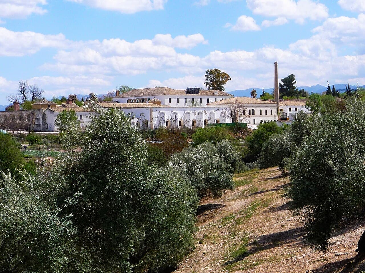Museo de la Cultura del Olivo (Hacienda La Laguna)