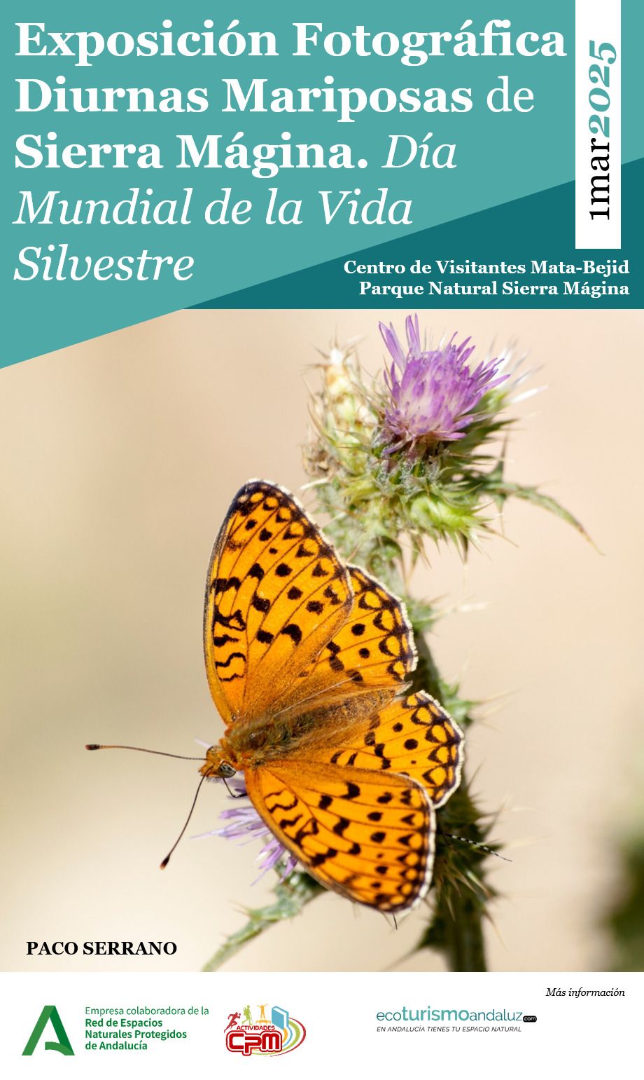 exposicion mariposas