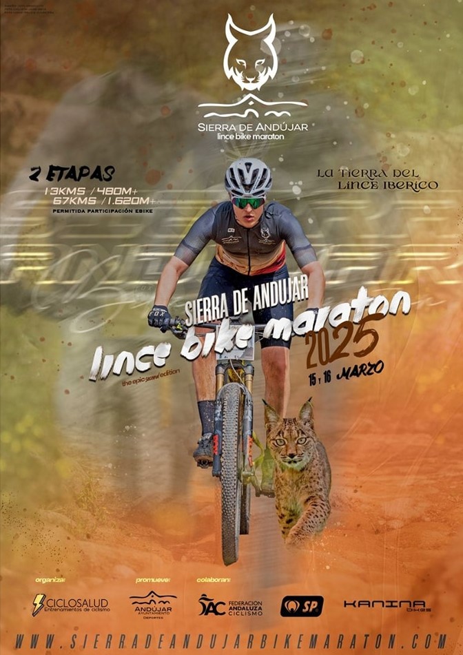lince 11