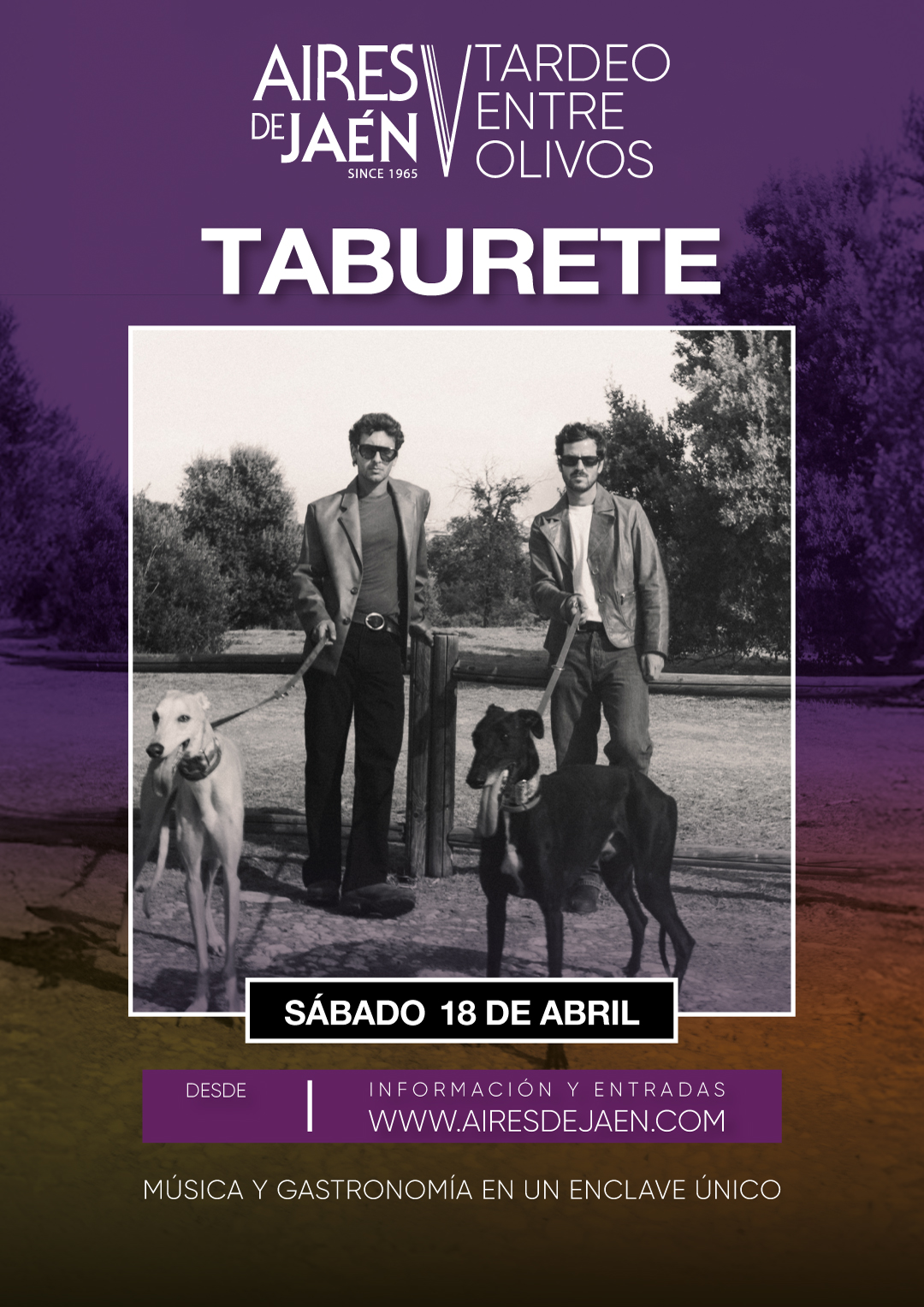 V Tardeo entre olivos