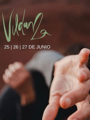Festival Vildanza