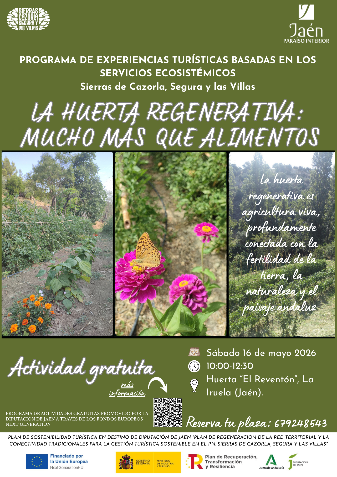 La huerta regenerativa mucho mas que alimentos
